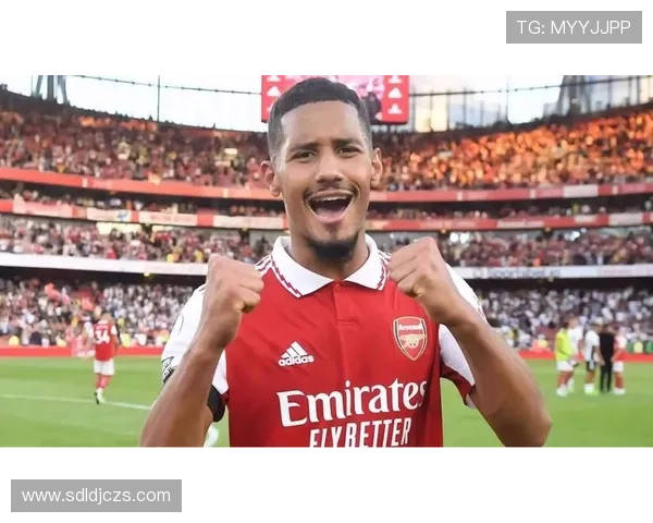 萨福克拖拉机在英超赛季中表现稳健，冲击冠军之路值得关注