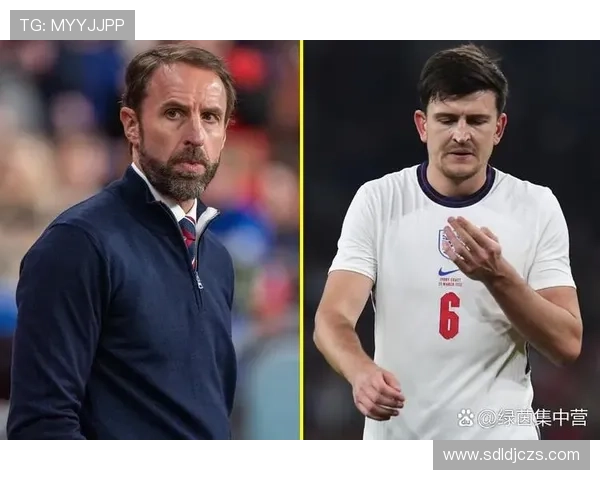 保加利亚球迷支持国家队近期表现稳健 保加利亚球迷支持国家队近期表现稳健