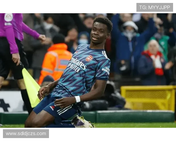 从多面手新星到枪手绝对核心：萨卡职业生涯全景复盘