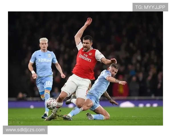 赖斯 vs 菲利普斯：双后腰搭档的战术适配与分工差异