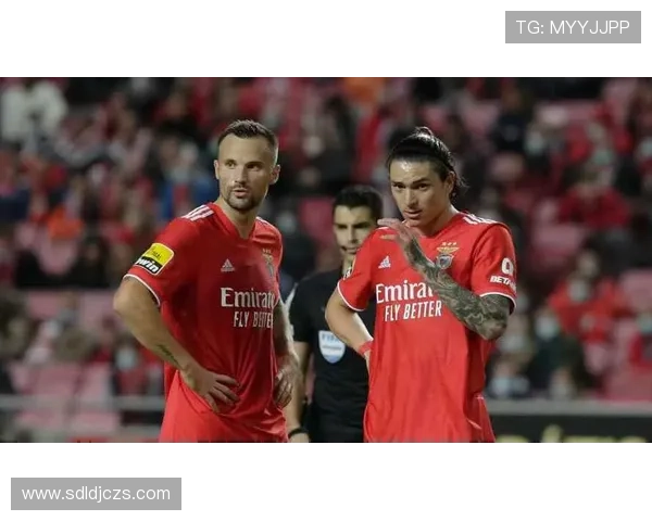 努涅斯生涯轨迹解析：从佩纳罗尔、本菲卡到英超